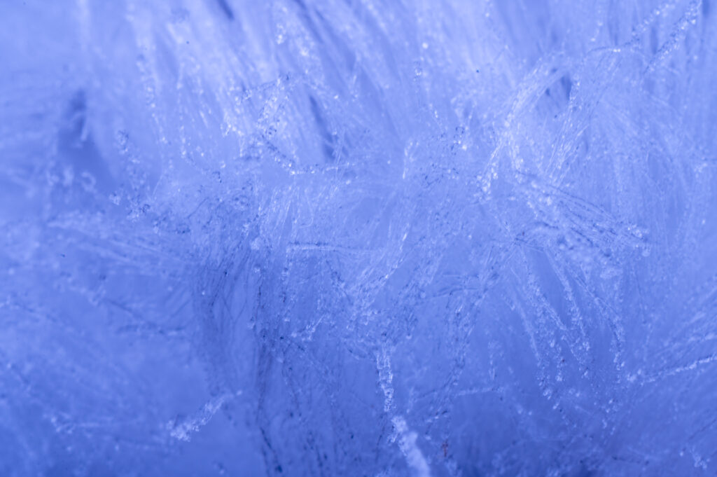 Macrofoto van ijshaar met High key techniek